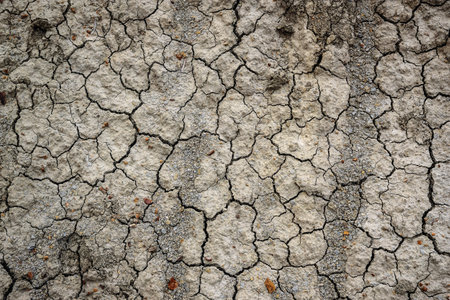 Dried and cracked ground background. texture cracked earthの写真素材