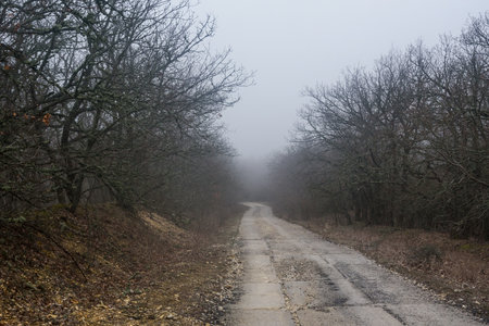Landscape of Karadag Reserve in early spring. View of trees on mountain in fog and clouds. Crimeaの写真素材