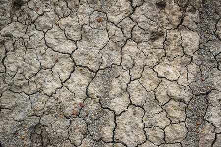 Dried and cracked ground background. texture cracked earthの写真素材