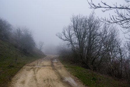 Landscape of Karadag Reserve in early spring. View of trees on mountain in fog and clouds. Crimeaの写真素材