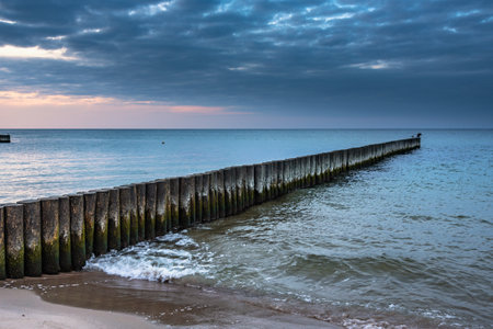 Wooden groynes on the beach of Baltic sea in Svetlogorsk at sunset. Kaliningrad region. Russiaの写真素材