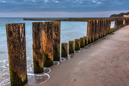 Wooden groynes on the beach of Baltic sea in Svetlogorsk at sunset. Kaliningrad region. Russiaの写真素材