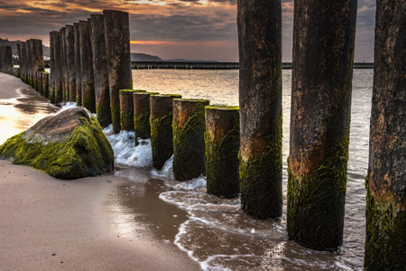 Wooden groynes on the beach of Baltic sea in Svetlogorsk at sunset. Kaliningrad region. Russiaの写真素材
