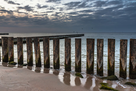 Wooden groynes on the beach of Baltic sea in Svetlogorsk at sunset. Kaliningrad region. Russiaの写真素材