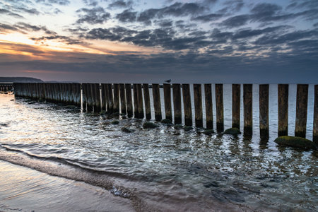 Wooden groynes on the beach of Baltic sea in Svetlogorsk at sunset. Kaliningrad region. Russiaの写真素材
