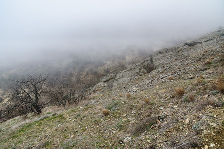 Landscape of Karadag Reserve in early spring. View of mountains in fog and clouds. Crimeaの写真素材