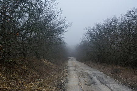 Landscape of Karadag Reserve in early spring. View of trees on mountain in fog and clouds. Crimeaの写真素材