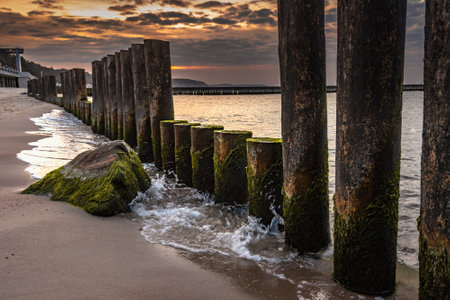 Wooden groynes on the beach of Baltic sea in Svetlogorsk at sunset. Kaliningrad region. Russiaの写真素材