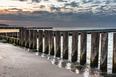 Wooden groynes on the beach of Baltic sea in Svetlogorsk at sunset. Kaliningrad region. Russiaの写真素材