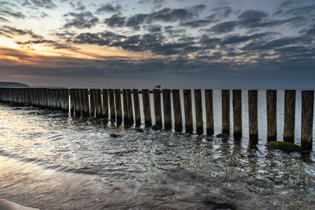 Wooden groynes on the beach of Baltic sea in Svetlogorsk at sunset. Kaliningrad region. Russiaの写真素材