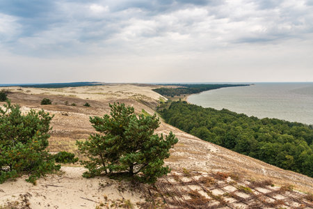 View of Cape Grabst from observation deck on Olenya Buda dunes. Curonian Spit National Park. Kaliningrad region. Russiaの写真素材