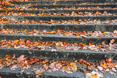 Stone stairs covered in autumn leaves. Autumn background