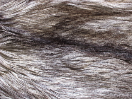 The texture goat fur of brown color for abstract backgroundの写真素材