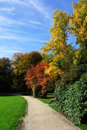 Colorful plants in the nice parkの写真素材