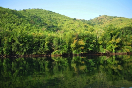 Clean environment among the forest