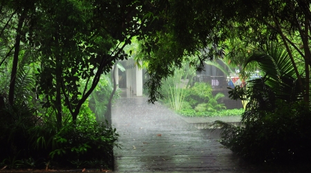 fresh atmosphere on the raining day 