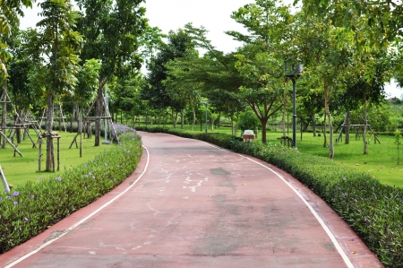 curve footpath in the gardenの写真素材