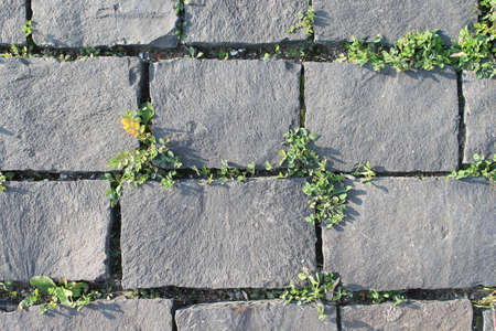 Old pavement in vintage style. Natural background. Natural stone. Grey background.の写真素材
