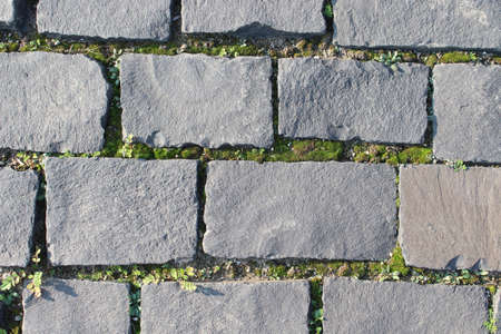 City park. Beautiful landscape. Close-up of gray natural stone. Moss.の写真素材