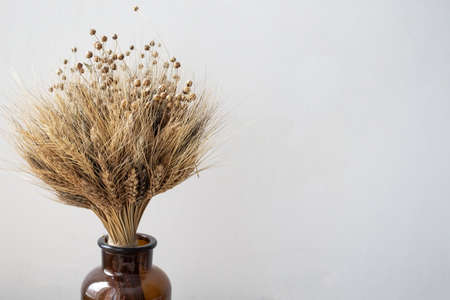 A simple brown vase with a bouquet of wheat. Home decor. Place for your text.の写真素材