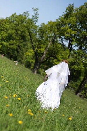 Picture of the bride, which is in the fieldの写真素材