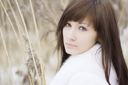 Picture of a beautiful brunette girl in the reedの写真素材