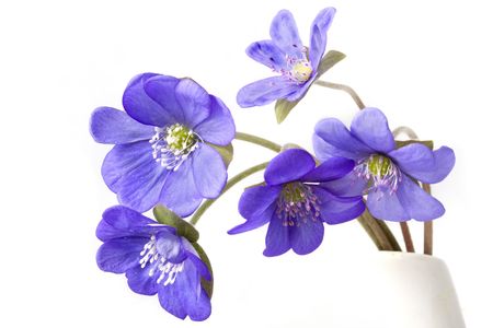 Images of an abstract of several violet flowers.の写真素材