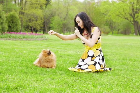 The image of a girl playing with a small dog in the parkの写真素材