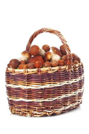The image of a full basket of mushroomsの写真素材