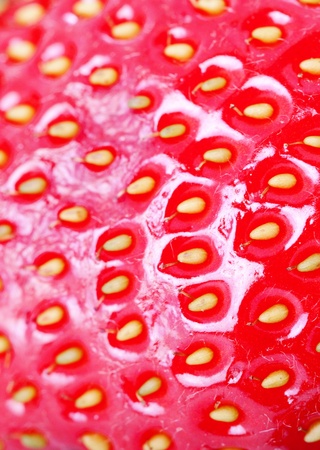 Image of a bright juicy fresh strawberrieの写真素材