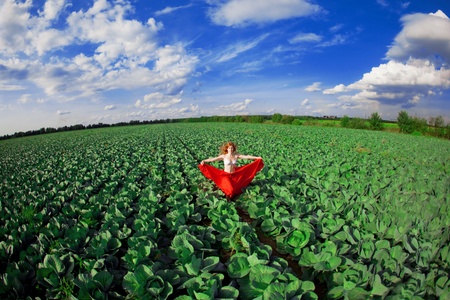 The image of a beautiful girl in a fieldの写真素材