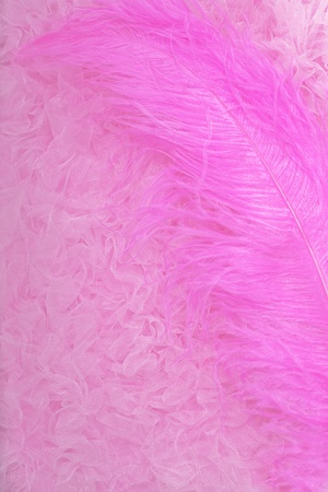 Image of abstract pink backgroundの写真素材