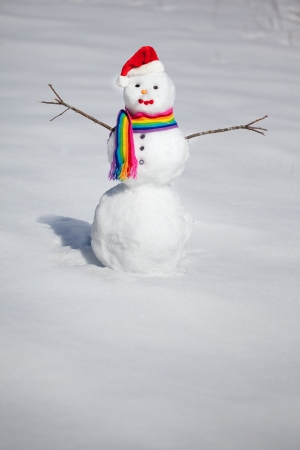 Beautiful snowman in rainbow hat and scarfの写真素材