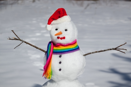 Beautiful snowman in rainbow hat and scarfの写真素材