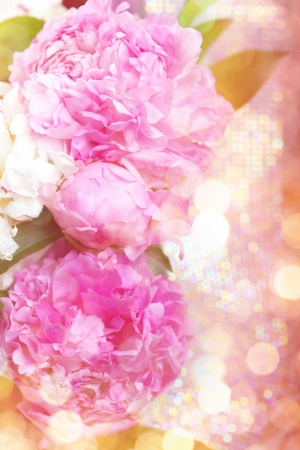 Peony in the Shabby Chic styleの写真素材