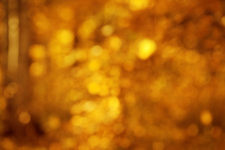 Autumn, fall background. Gold abstract bokeh defocused lights blury nature.の写真素材
