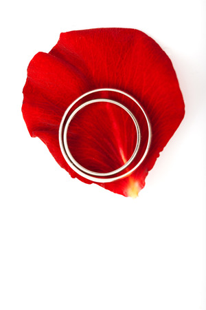 Wedding concept for invitation card. wedding rings in petals of rose flower isolated on white backgroundの写真素材