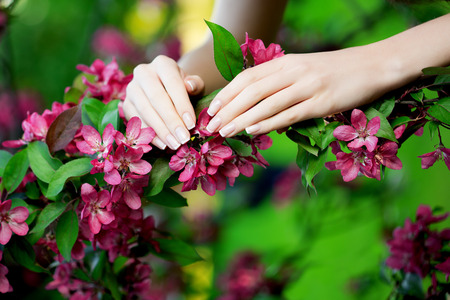 Hands with a stunning manicure on flowersの写真素材