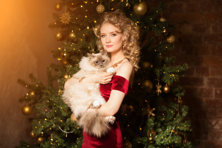 Christmas party, winter holidays woman with cat. New year girl. christmas tree in interior background.の写真素材