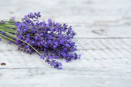 lavender on a wooden background. Medicinal plant in bloom.