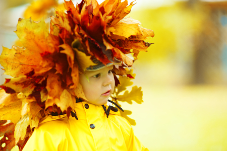 Little boy on background of autumn park. Child with a maple leaf. Fall scene.の写真素材