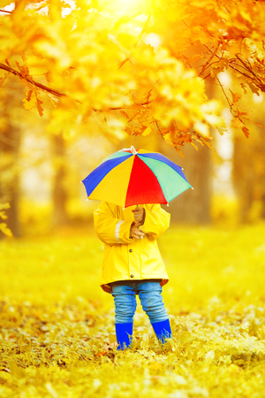 Little boy on background of autumn. park with rainbow umbrella in hands. Child with a maple leaf. Fall scene.の写真素材