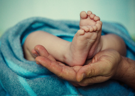 Baby feet in father hands. Ded or grendfather, grendmather and Child. Feet under the protection of the palms. Happy Family concept, conceptual image of maternityの写真素材