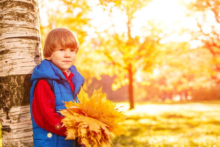 Child in autumn park. Happy adorable boy with fall leaves. The concept of childhood, family and kid laughs outdoors.の写真素材