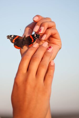 Insectophobia.  Butterfly sits on a womanâs hands. Fear of insects. Insect on the skin of a girl.の写真素材
