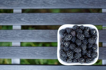 Blackberry Berries. Vitamins, healthy food and proper nutrition.の写真素材