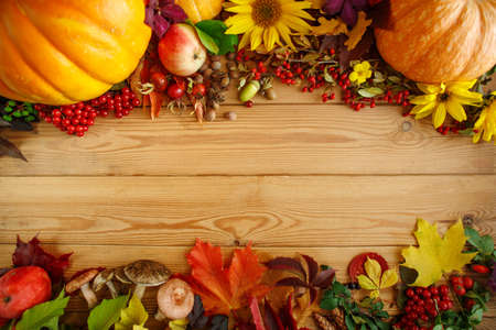 Autumn harvest frame. Fall leaves, pumpkin, flowers, mushrooms, nuts, acorns and berries on a wooden...