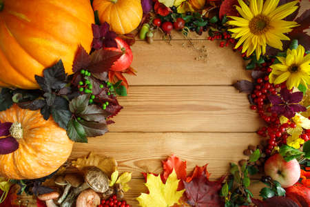 Autumn harvest frame. Fall leaves, pumpkin, flowers, mushrooms, nuts, acorns and berries on a wooden table background. Top view and Empty spaceの写真素材