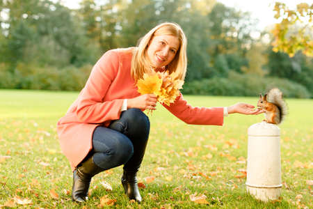 Woman feeding squirrel in autumn park. Girl on a background of fall. Autumn yellow and red leavesの写真素材
