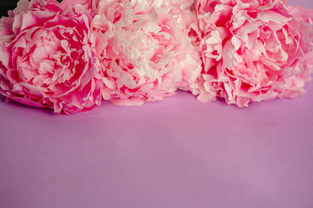Peonies, bouquet, frame, postcard, mother's day, birthday. Summer or spring flowers.